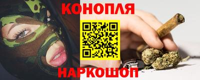 прущие грибы Шебекино